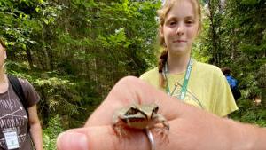 adirondack field ecology